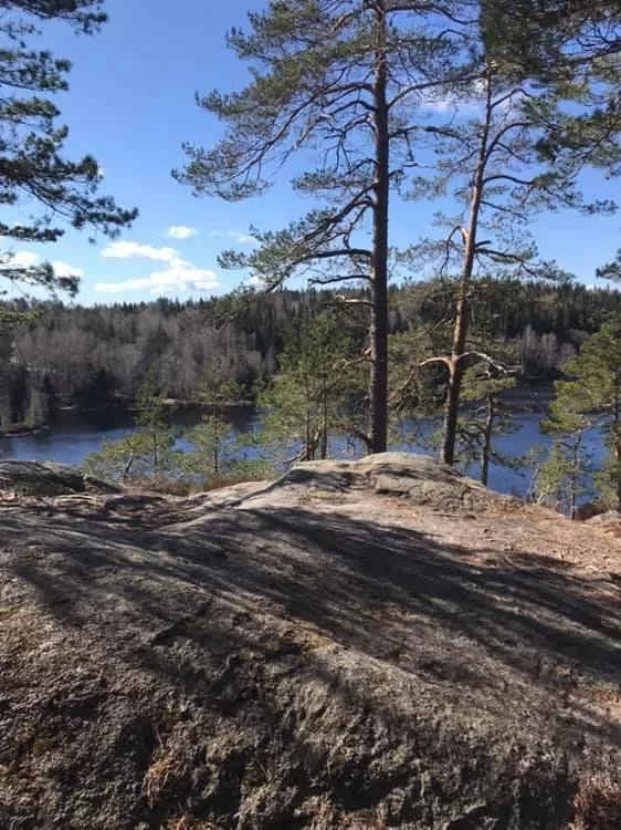 Välkommen att medverka på vildmarksretreat i sommar 2021, 9-11 Juli